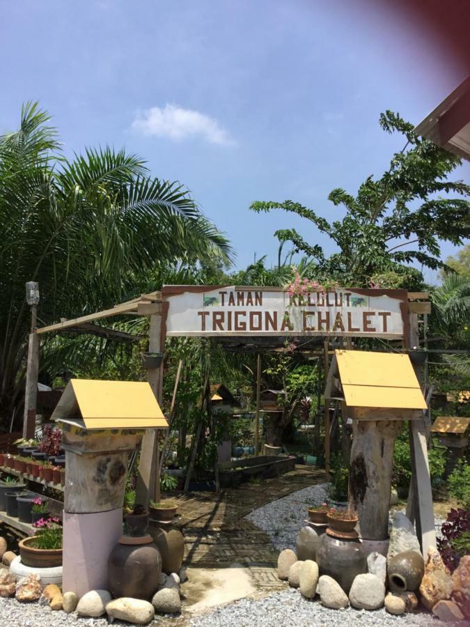 Trigona Chalet Hotel Marang Eksteriør billede
